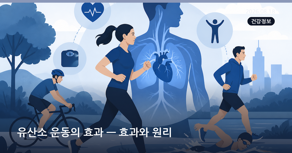 유산소 운동의 효과 — 효과와 원리