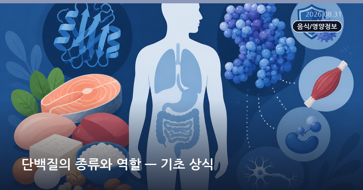 단백질의 종류와 역할 — 기초 상식